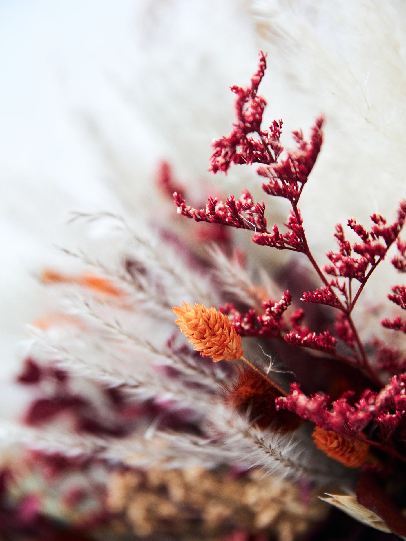 Bridal burgundy bouquet with terracotta flowers for your special day