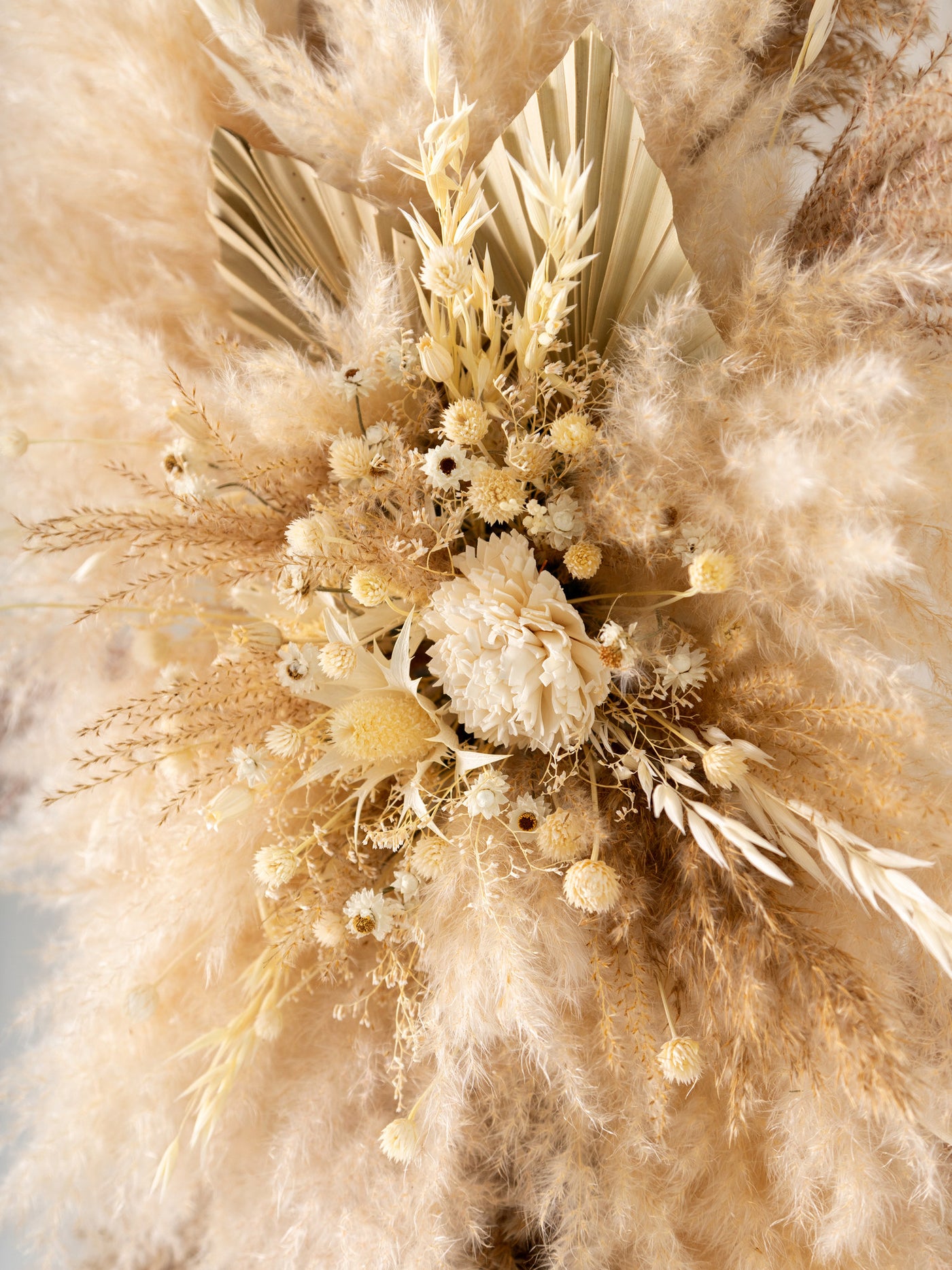 Arch With Cream Dried Limoium, Eryngium Flower And Ammobium